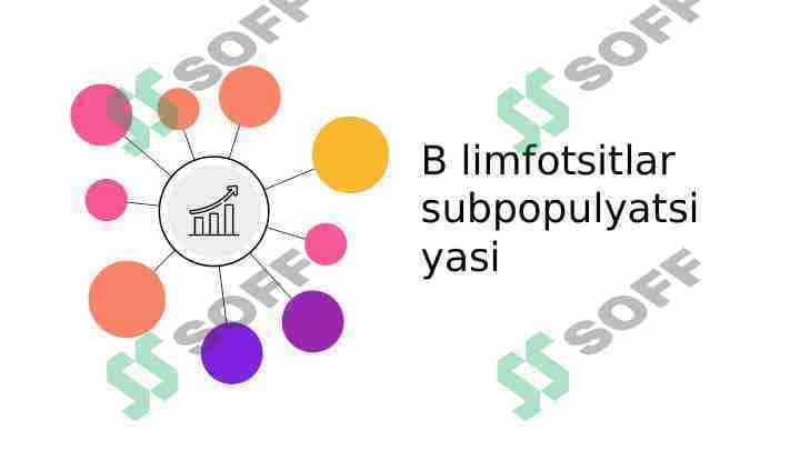 B limfotsitlar subpopulyatsiyasi