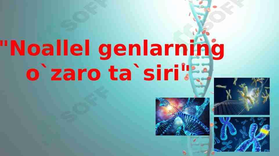 Noallel genlarning o`zaro ta`siri