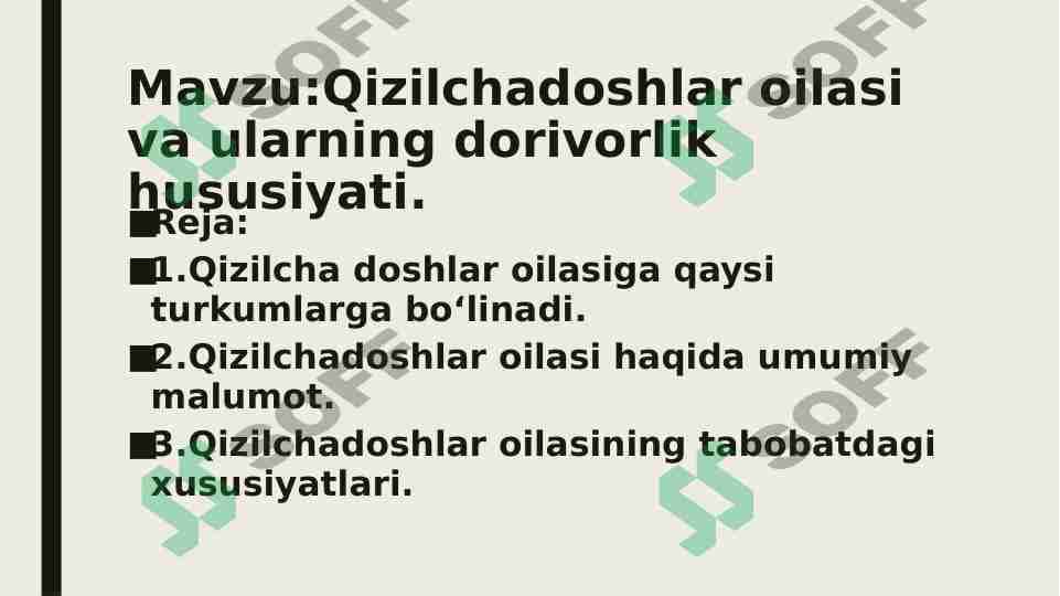 Qizilchadoshlar oilasi va ularning dorivorlik hususiyati