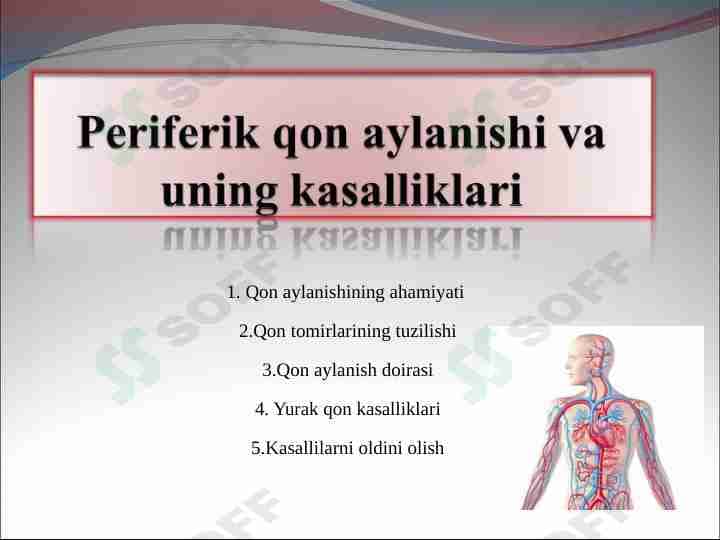Yurak,Periferik qon aylanishi va uning kasalliklari