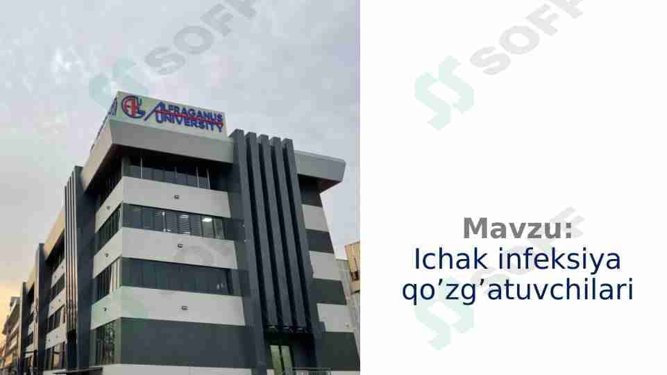 Ichak infeksiya qo’zg’atuvchilari