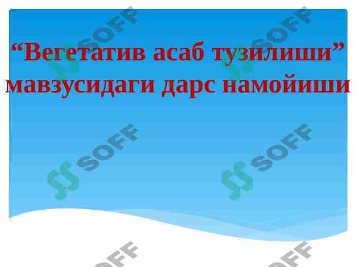 Vegetativ asab tizimining tuzilishi