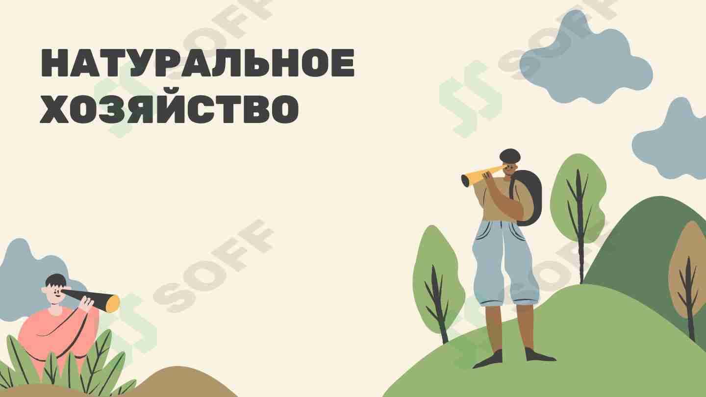 Натуральное Хозяйство