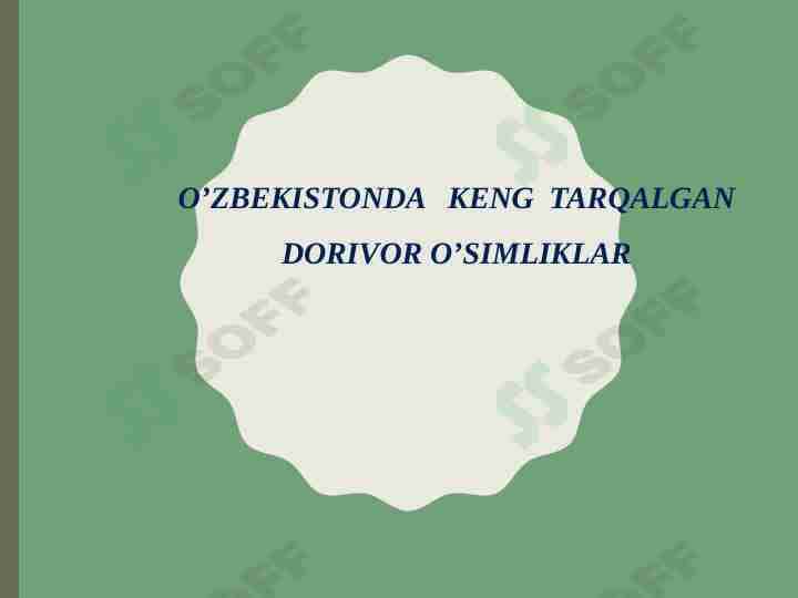Oʻzbekistonda tarqalgan dorivor oʻsimliklar