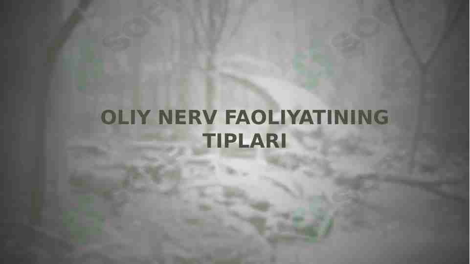 OLIY NERV FAOLIYATINING TIPLARI
