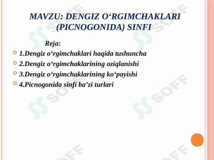 dengiz o'rgimchaklari
