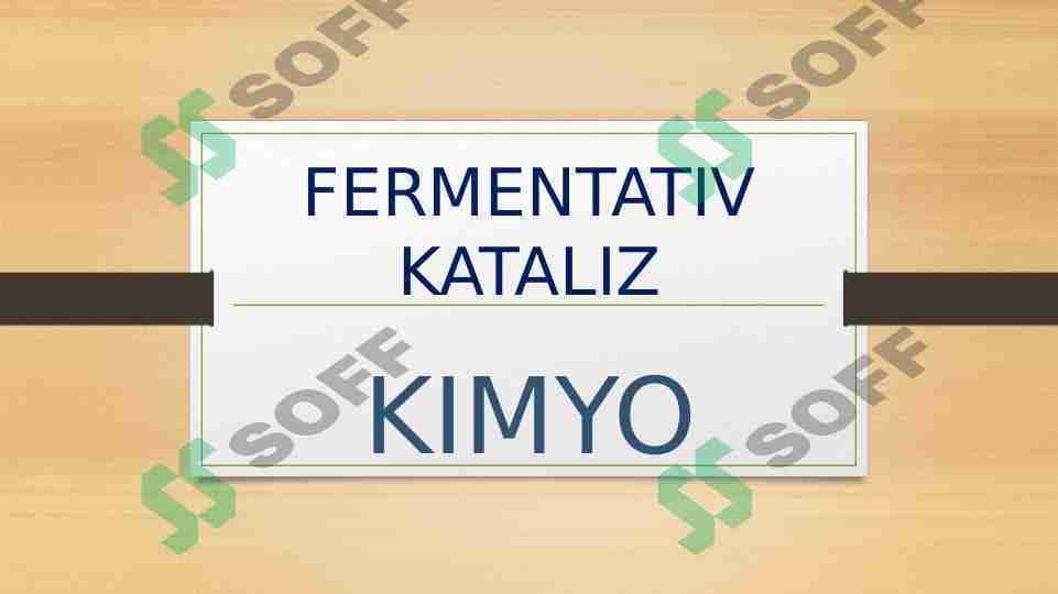 FERMENTATIV KATALIZ