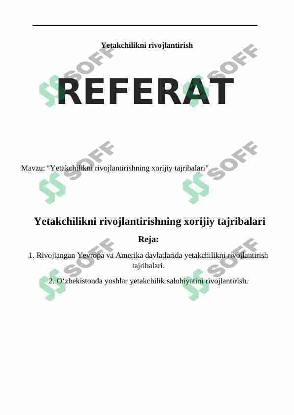 Yetakchilikni rivojlantirishning xorijiy tajribalari