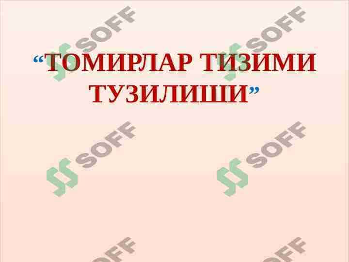 Tomirlar tizimi tuzulishi