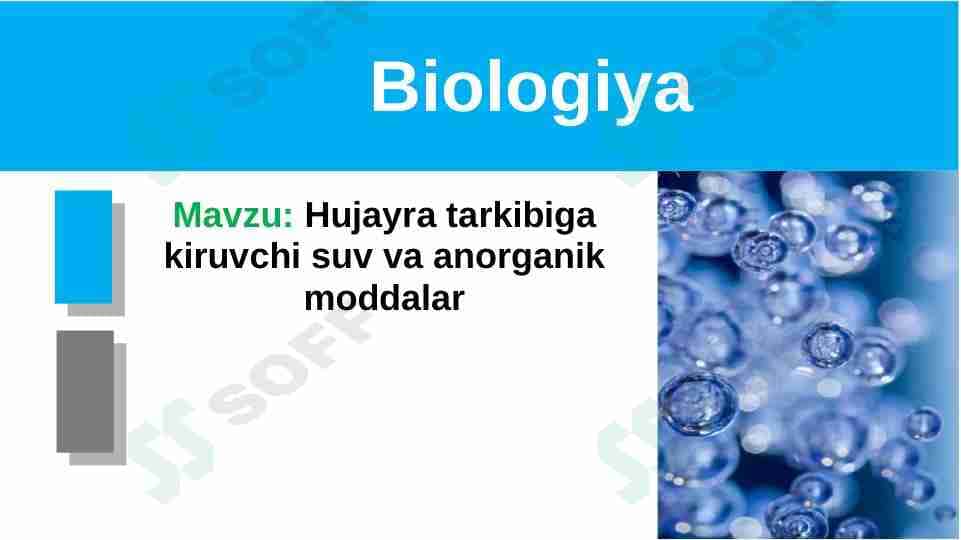 Hujayra tarkibiga kiruvchi suv va anorganik moddalar