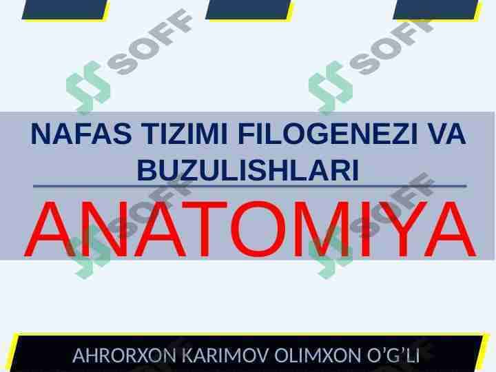 NAFAS TIZIMI FILOGENEZI VA BUZULISHLARI