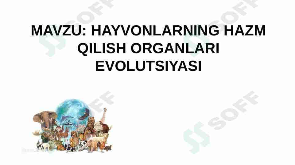 HAYVONLARNING HAZM QILISH ORGANLARI EVOLUTSIYASI