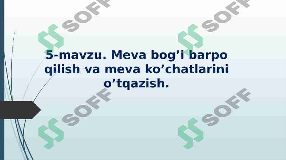 Meva va rezavor meva o’simliklarining kelib chiqishi, botanik tarkibi va biologik xususiyatlari.