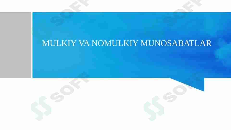 mulkiy va nomulkiy munosabatlar