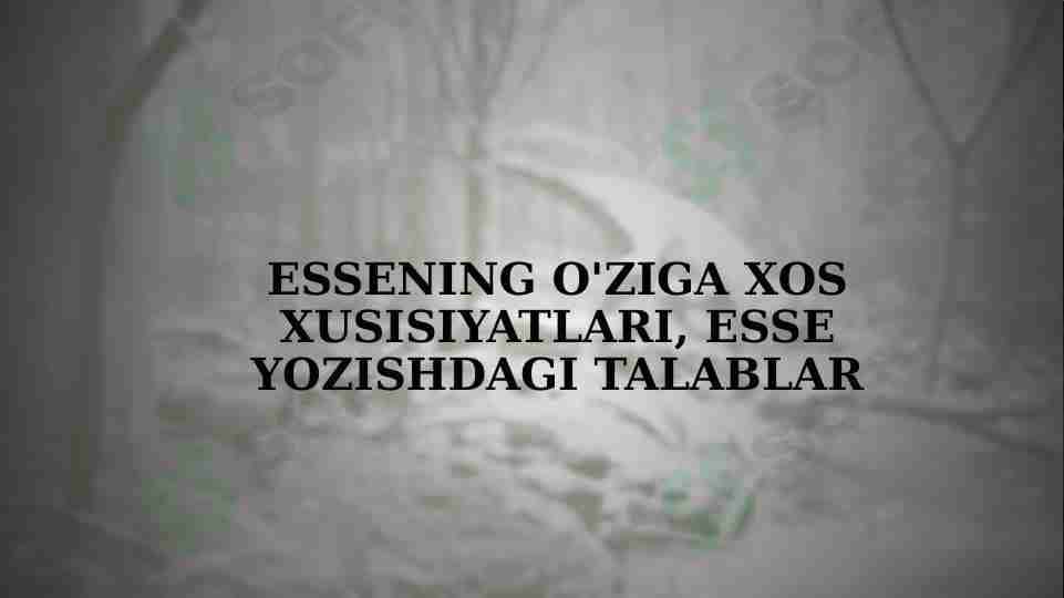 Essening o'ziga xos xusisiyatlari, Esse yozishdagi talablar