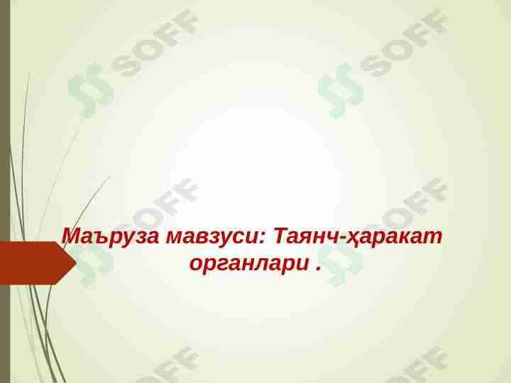 Tayanch harakatlanish organlari.