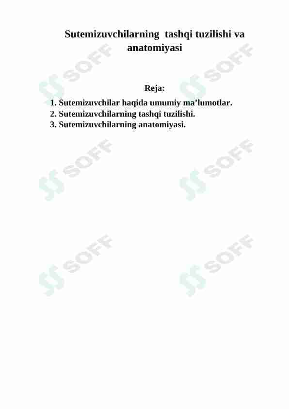 Sutemizuvchilarning tashqi tuzilishi va anatomiyasi
