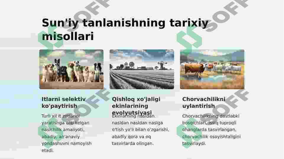Suniy Tanlanish