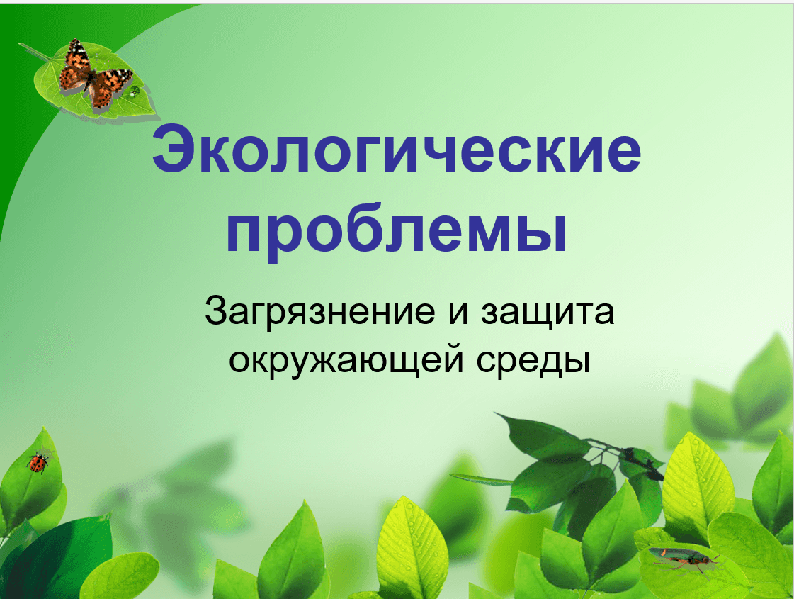 Экологические проблемы