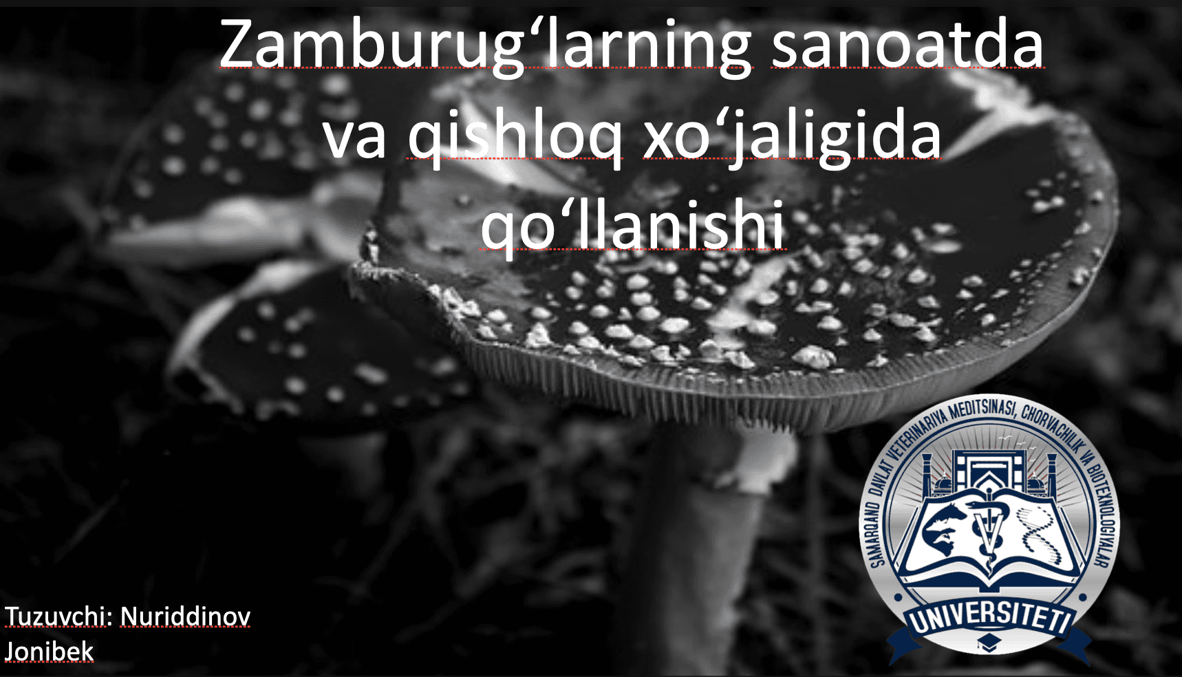 Zamburug'larning sanoat va qishloq xo'jaligida qo'llanishi