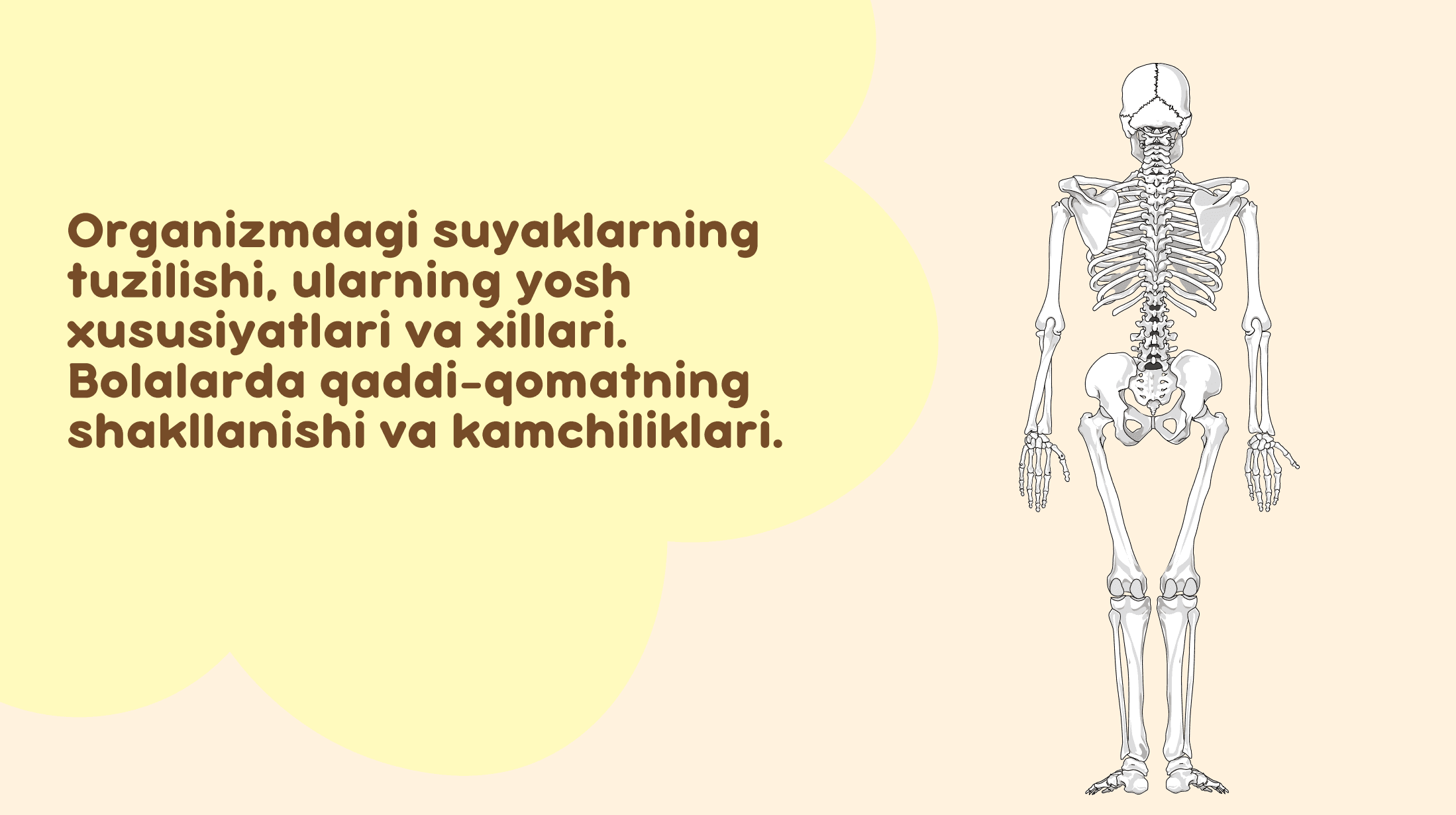Suyaklar va ularning tuzilishi