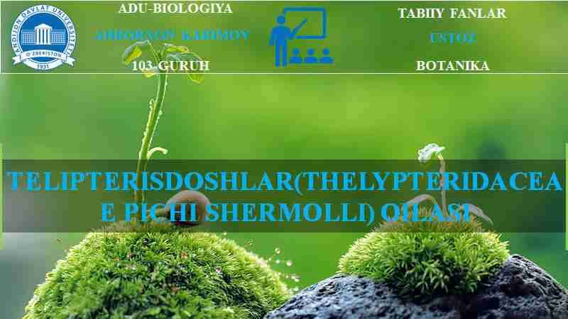 TELIPTERISDOSHLAR(THELYPTERIDACEAE PICHI SHERMOLLI) OILASI