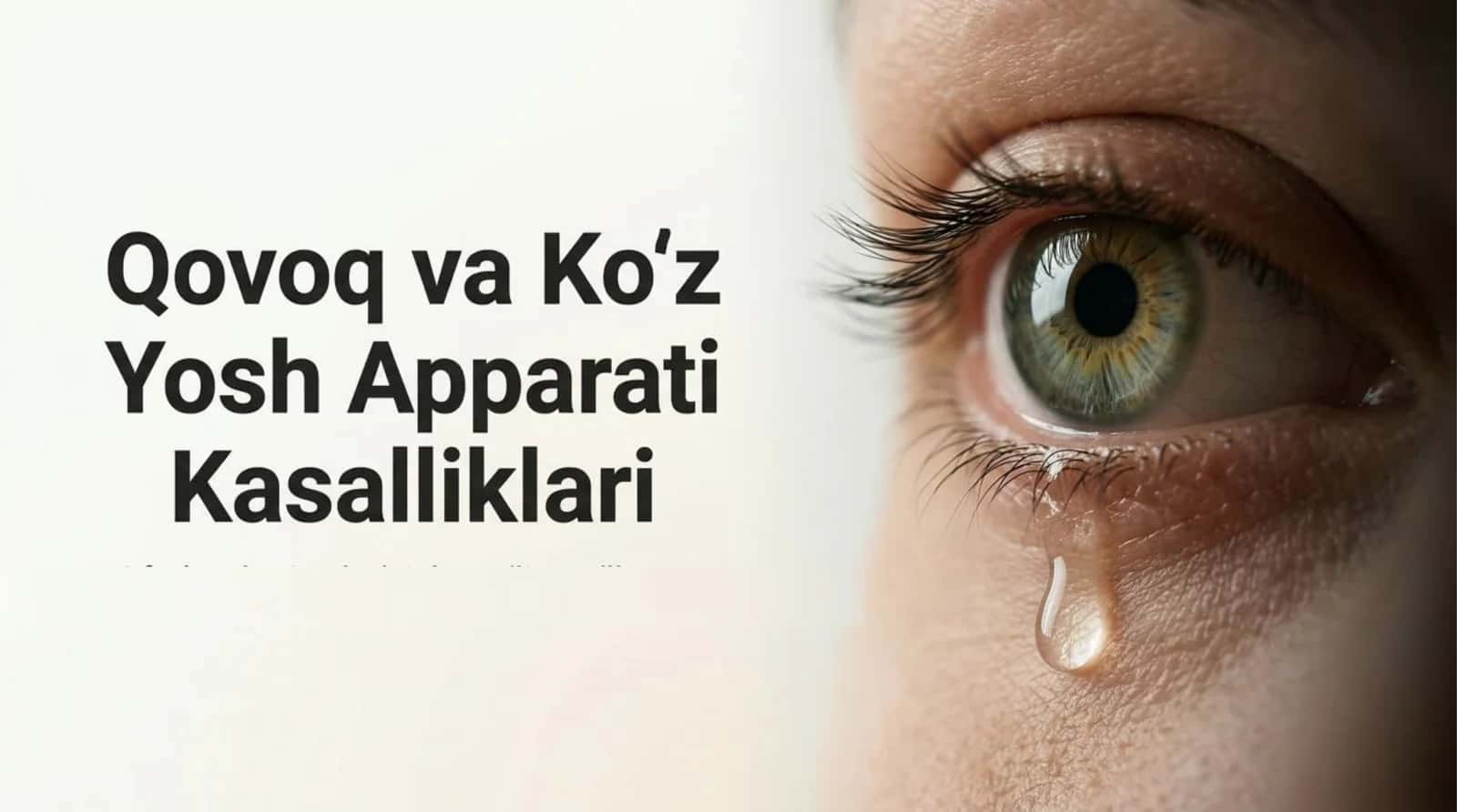 Qovoq va ko‘z yosh apparati kasalliklari