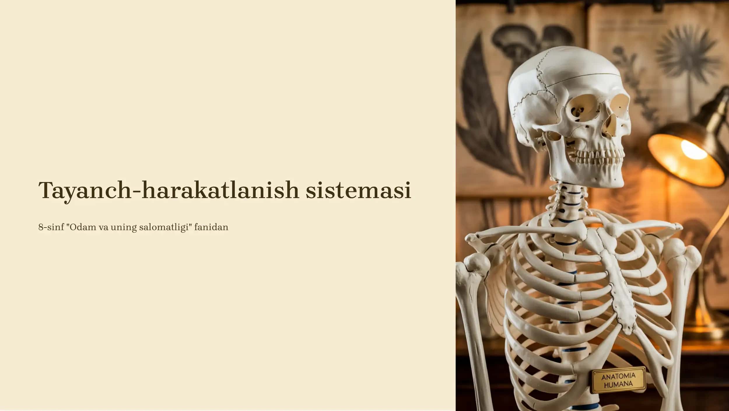 Tayanch-harakatlanish sistemasi