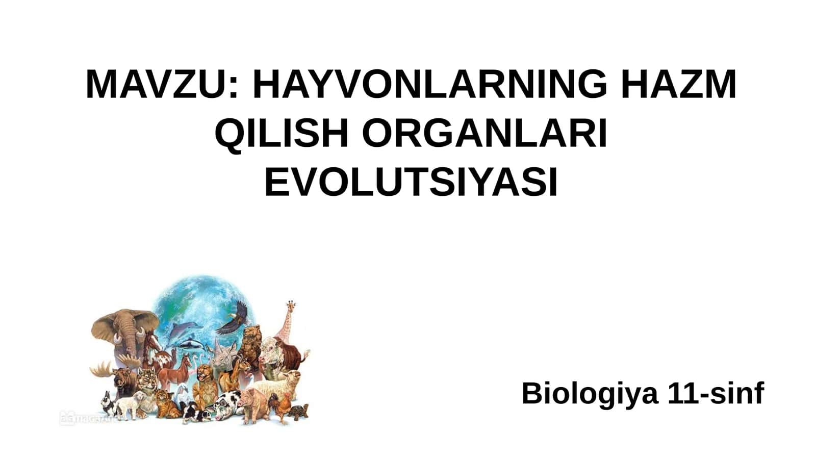 11-Sinf Biologiya: “Hayvonlarning Hazm Qilish Organlari Evolyutsiyasi” Taqdimot