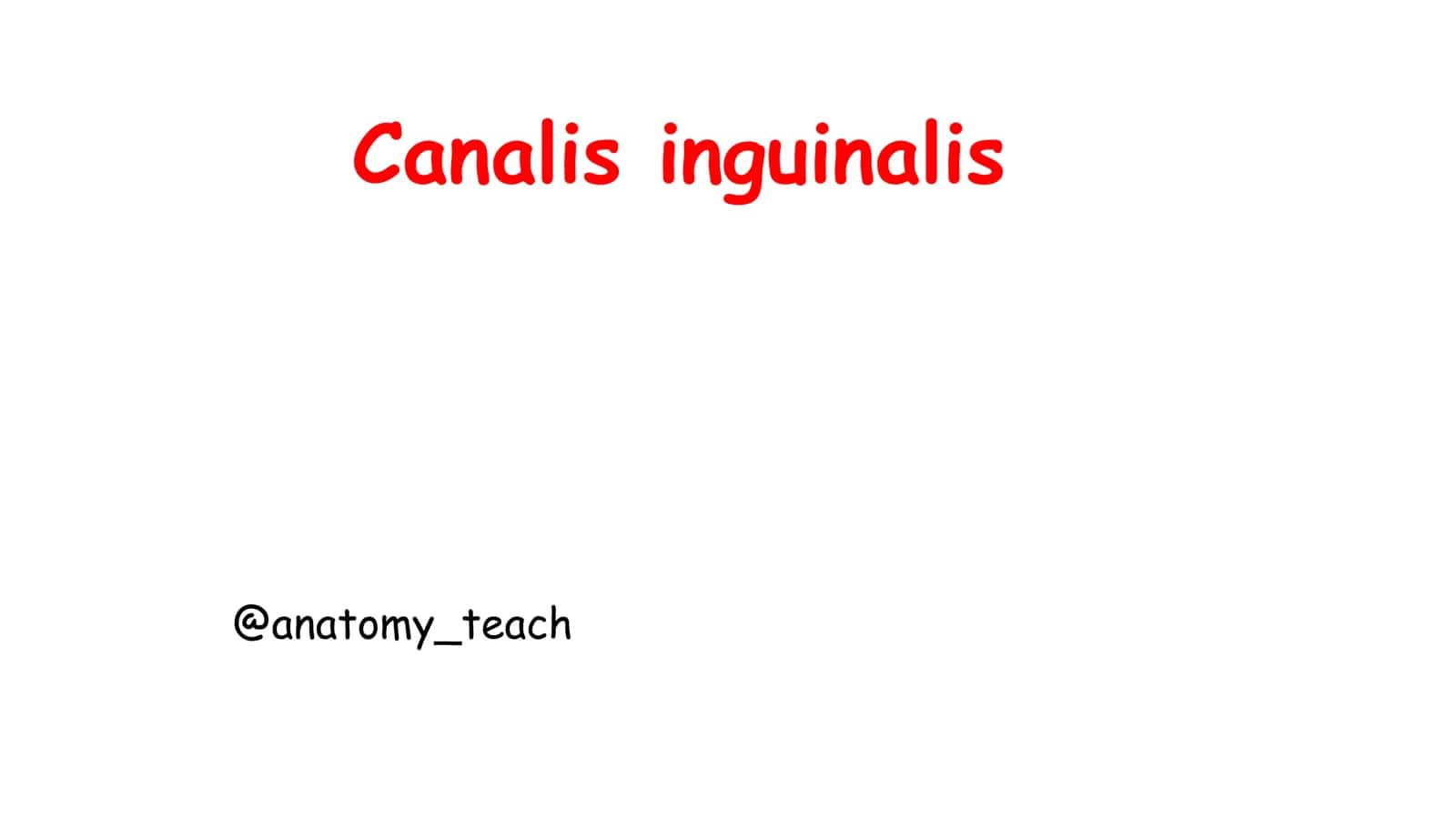 Canalis inguinalis
