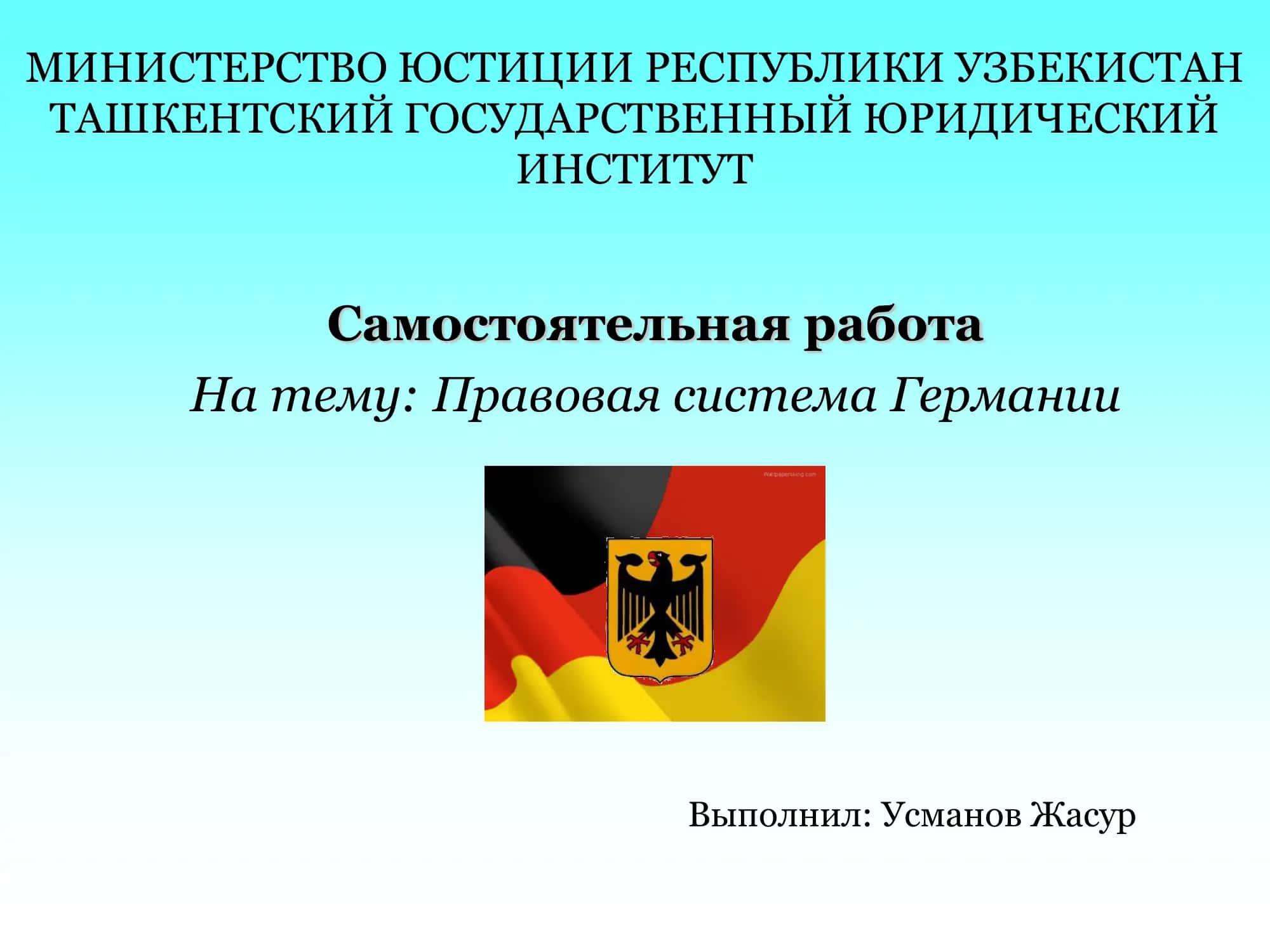 Правовая система Германии