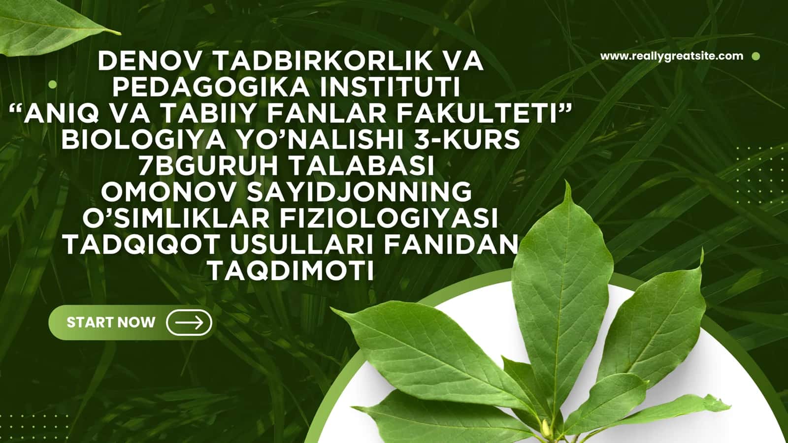 O‘simliklar hujayra energetikasi