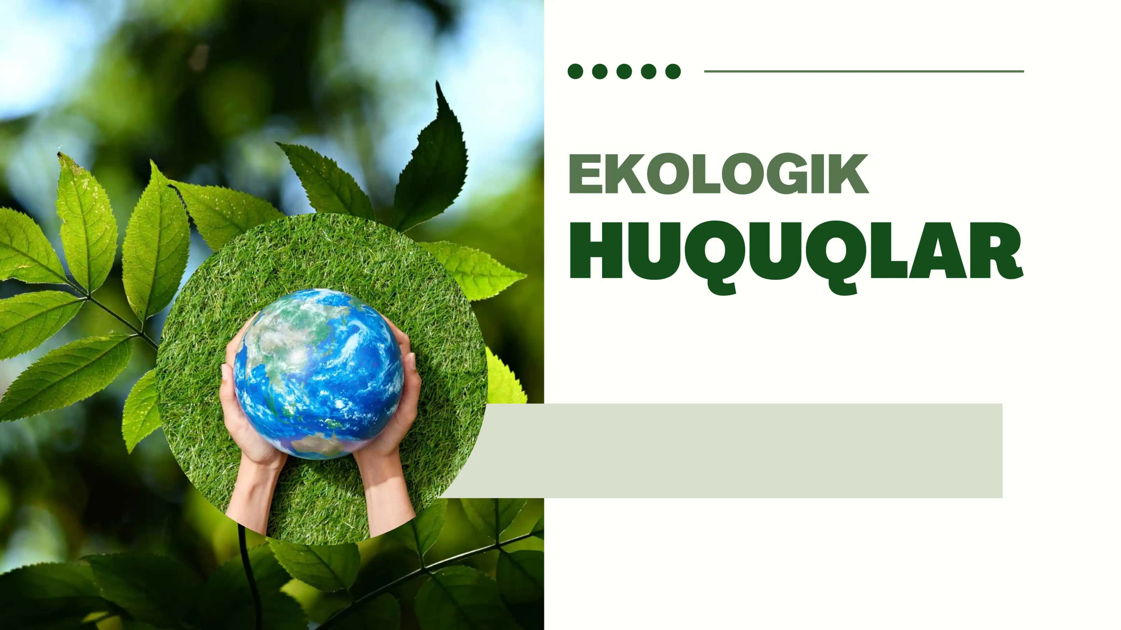 ekologik huquq