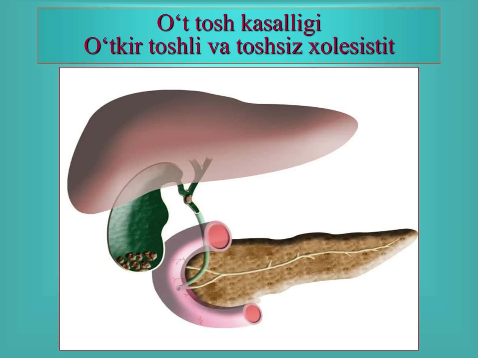 O„t ishlab chiqarish fiziologiyasi