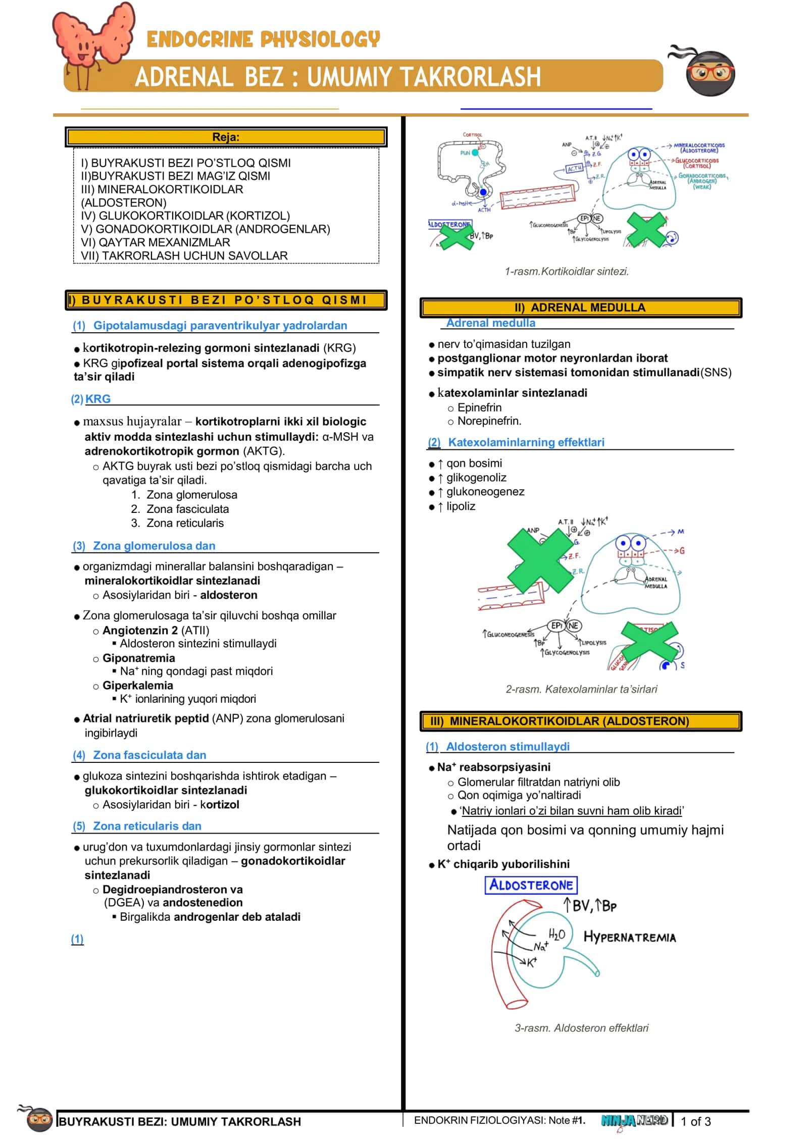 ENDOKRIN FIZIOLOGIYASI: Note #1