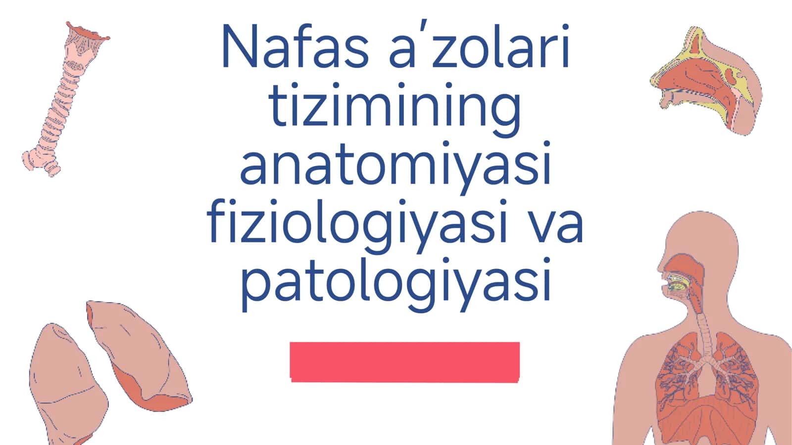 Nafas a’zolari tizimining anatomiyasi, fiziologiyasi va patologiyasi