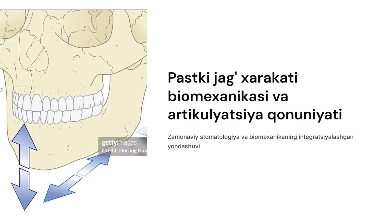 Pastki jag‘ xarakati biomexanikasi.tranzverzal kesuv yo‘li burchagi.Artikulyatsiya qonuniyati.Gizi bo‘yicha chaynov xarakati fazalari, fiziologik tinchlik xolati.