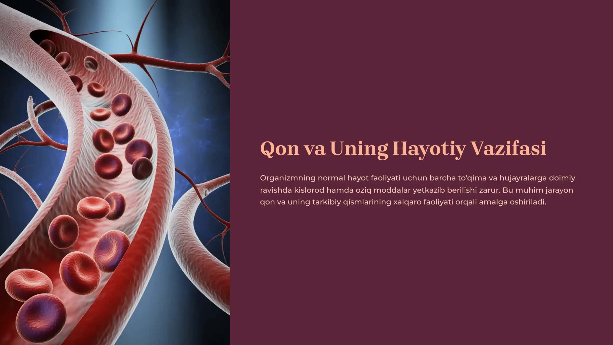 Qon va Uning Hayotiy Vazifasi