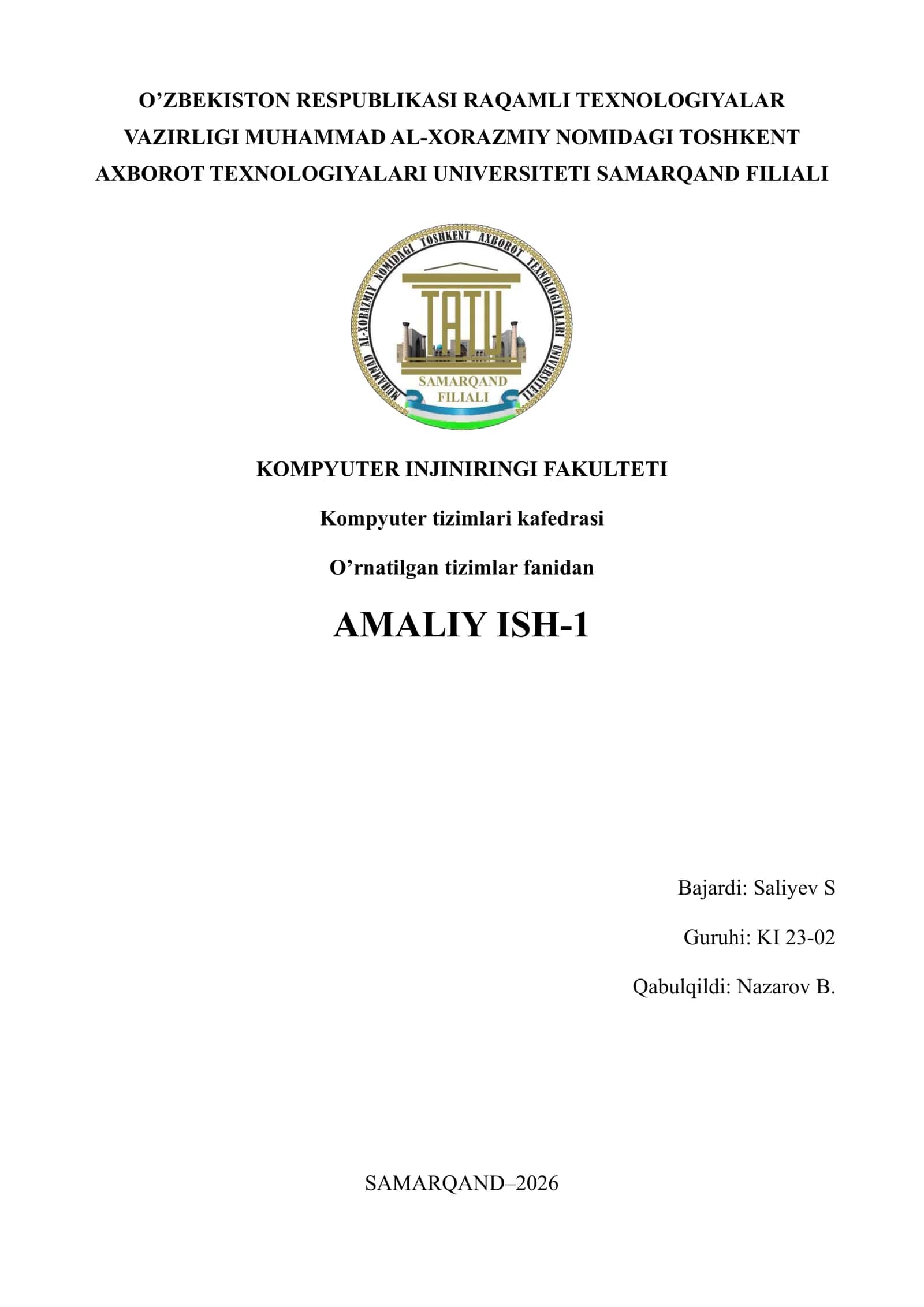 AMALIY ISH-1