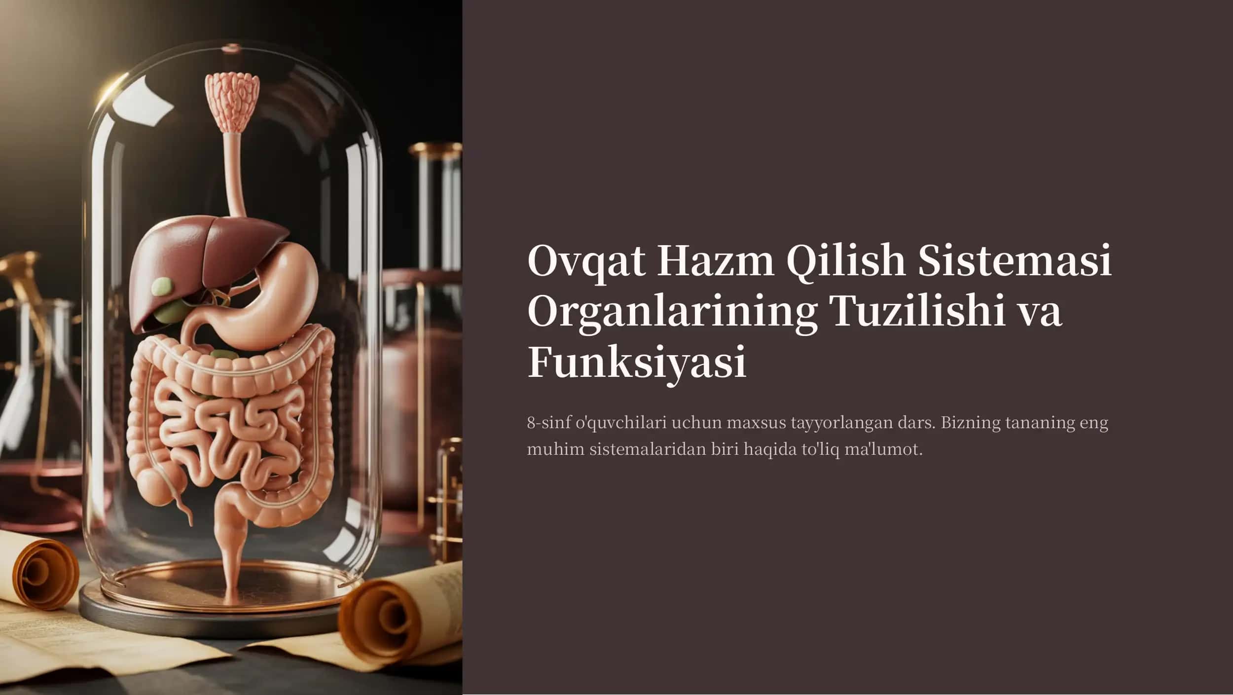 Ovqat Hazm Qilish Sistemasi Organlarining Tuzilishi va Funksiyasi