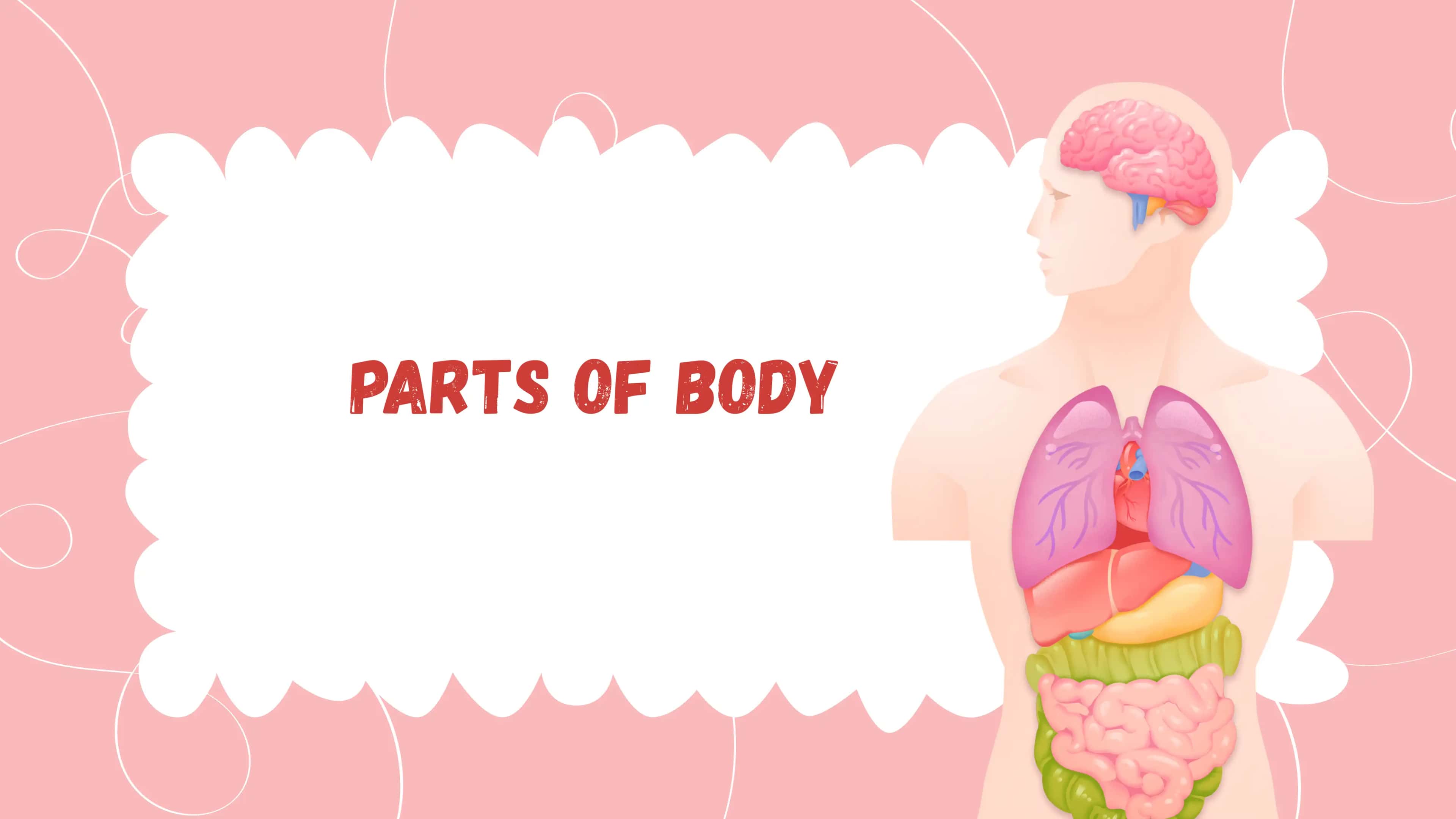 Parts of Body