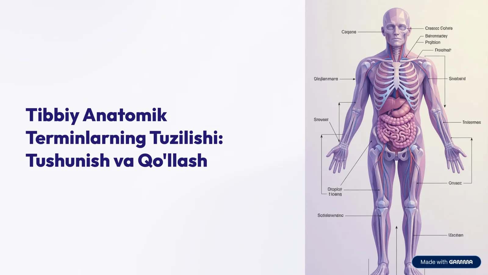 Tibbiy Anatomik