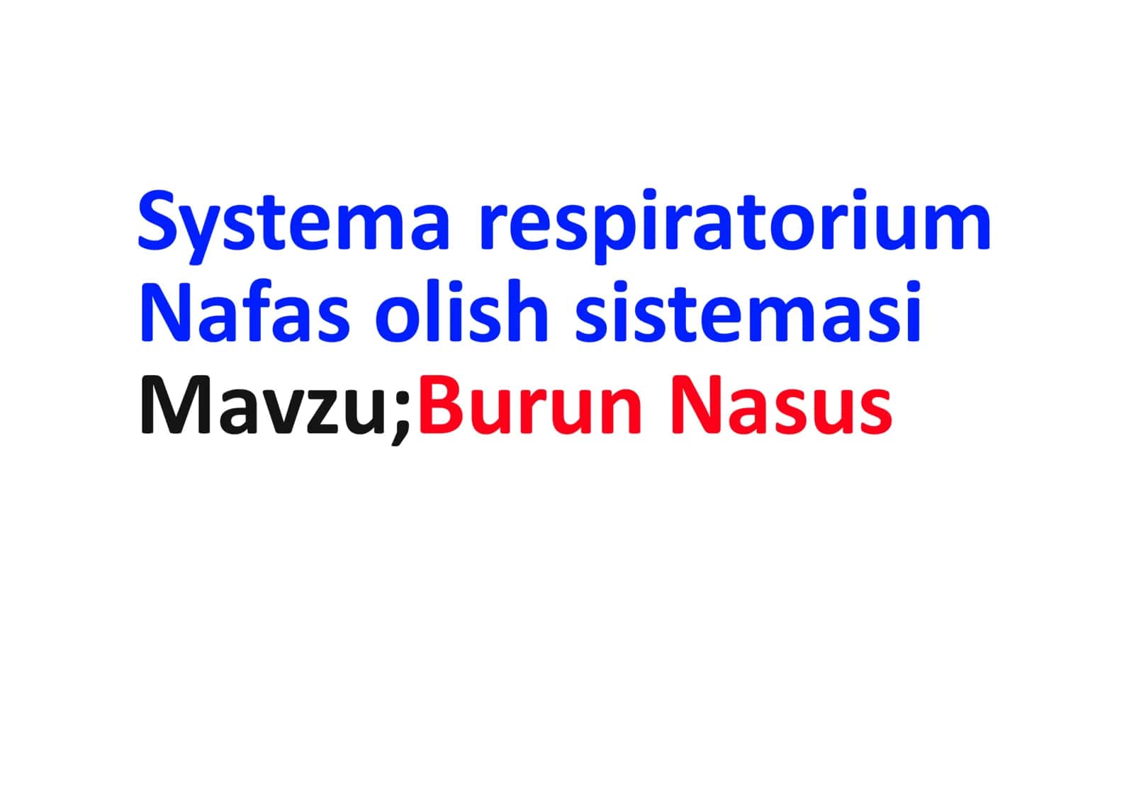 Nfas olish sistemasi, Burun, nasum.