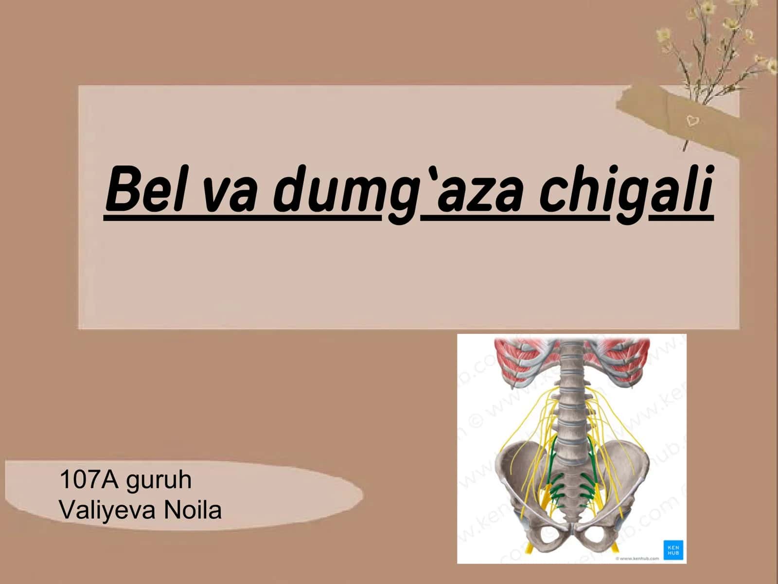 Bel va dumg`aza chigali