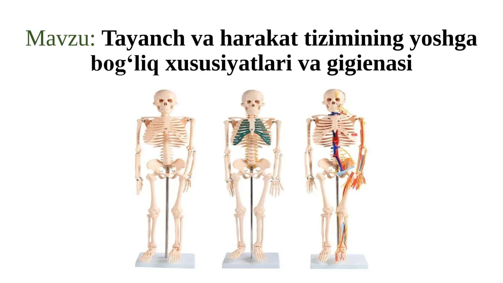 Tayanch va harakat tizimining yoshga bog‘liq xususiyatlari va gigiyenasi