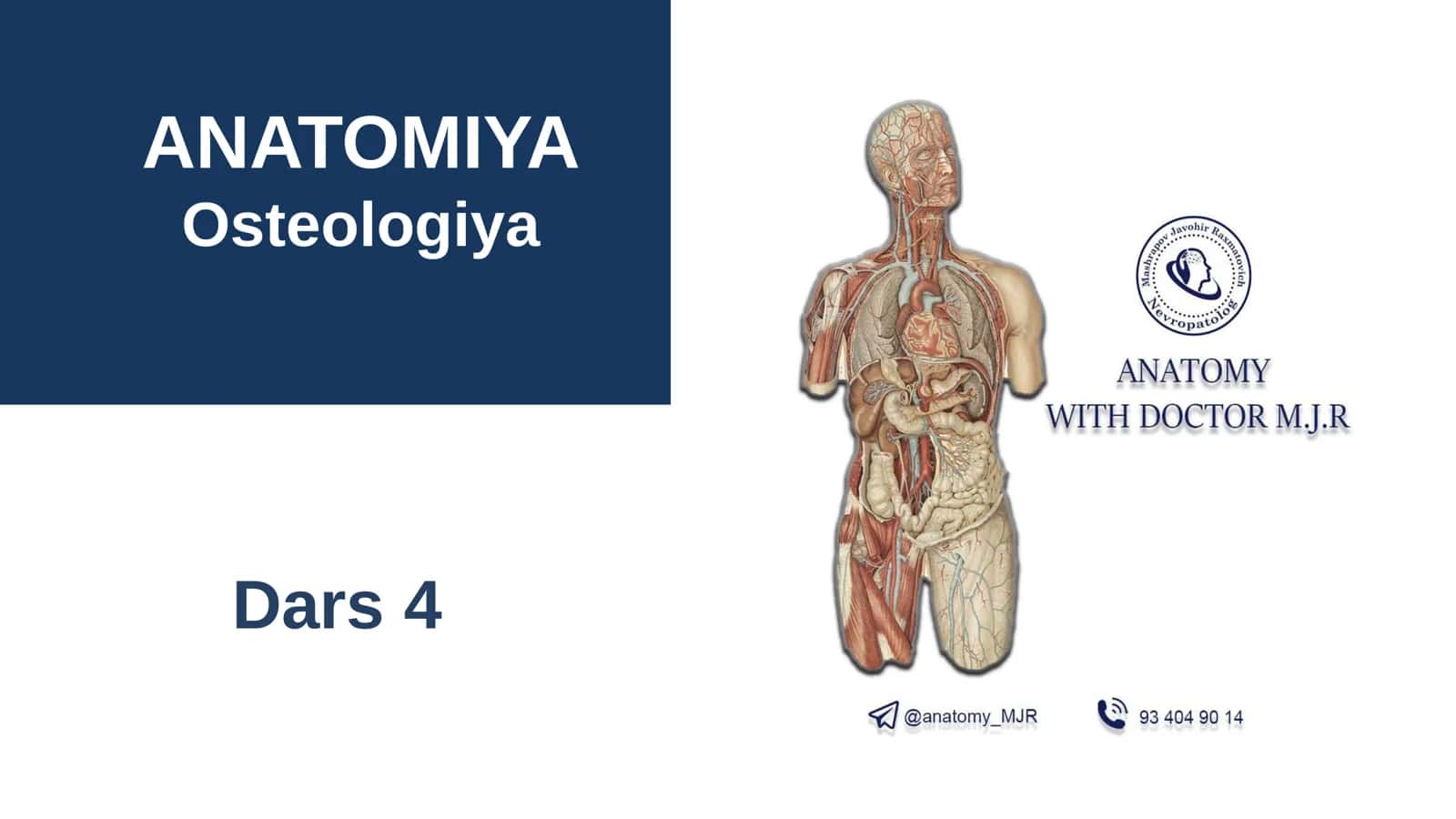 ANATOMIYA Osteologiya Dars 4 Tarkib