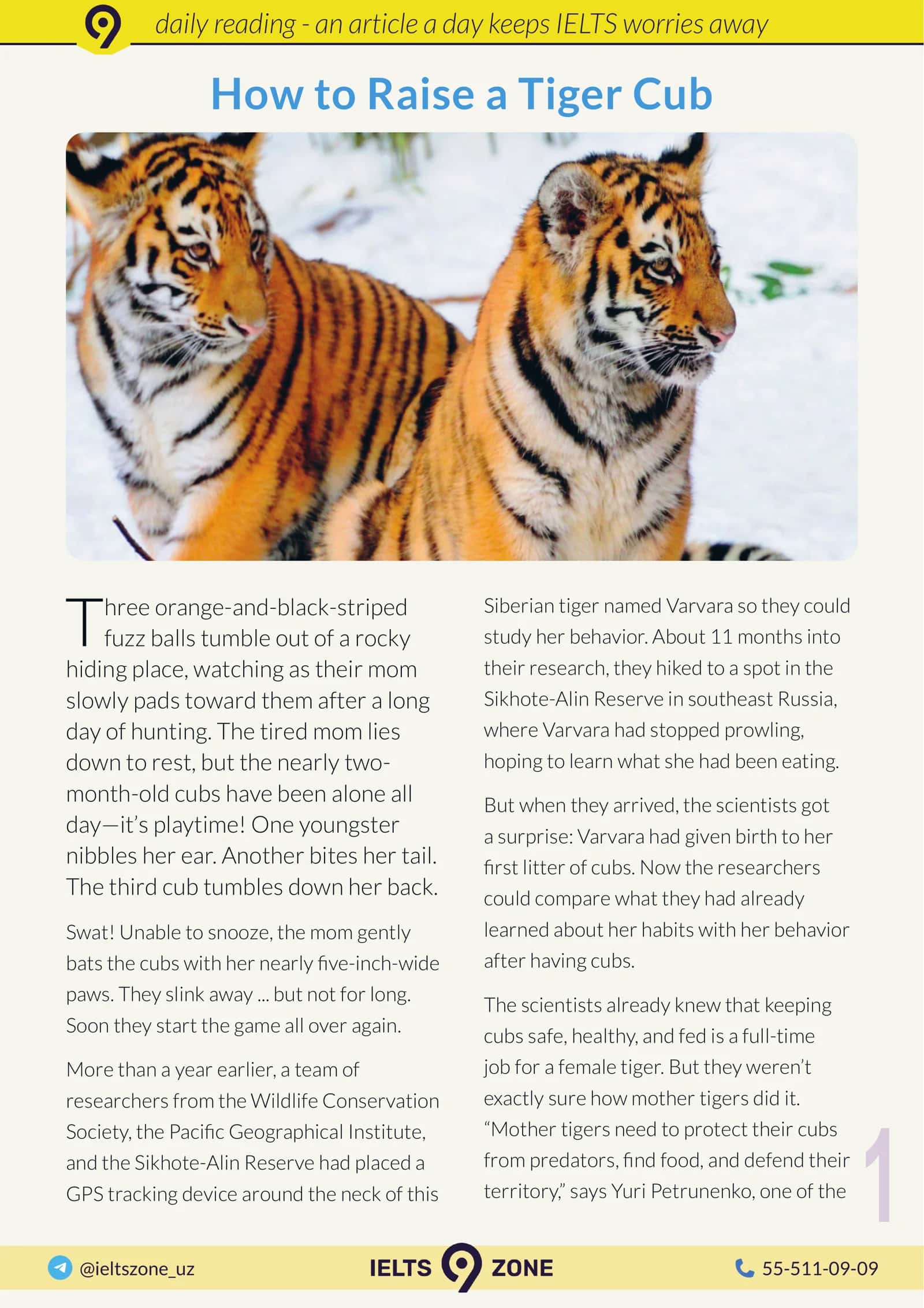 How to Raise a Tiger Cub