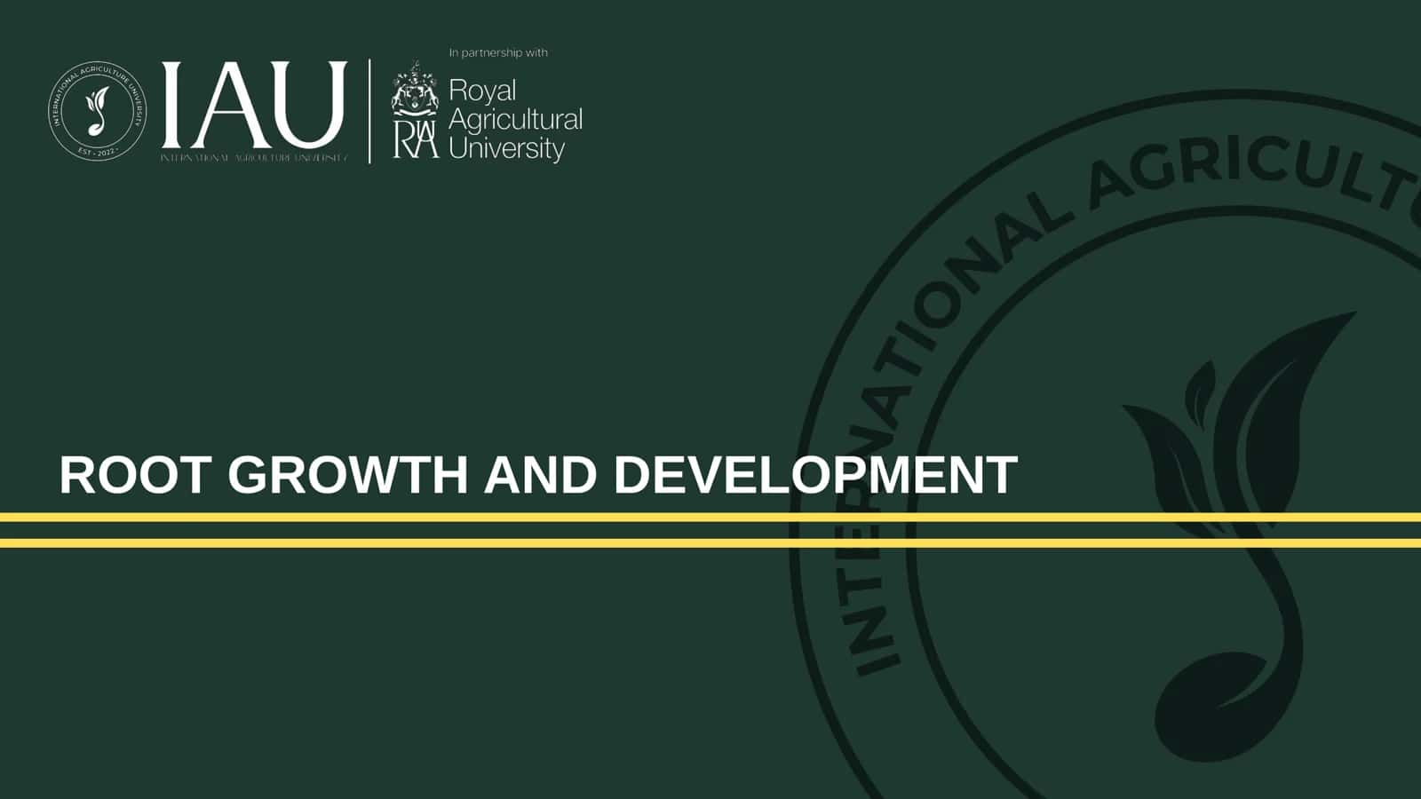 Root Growth and Development