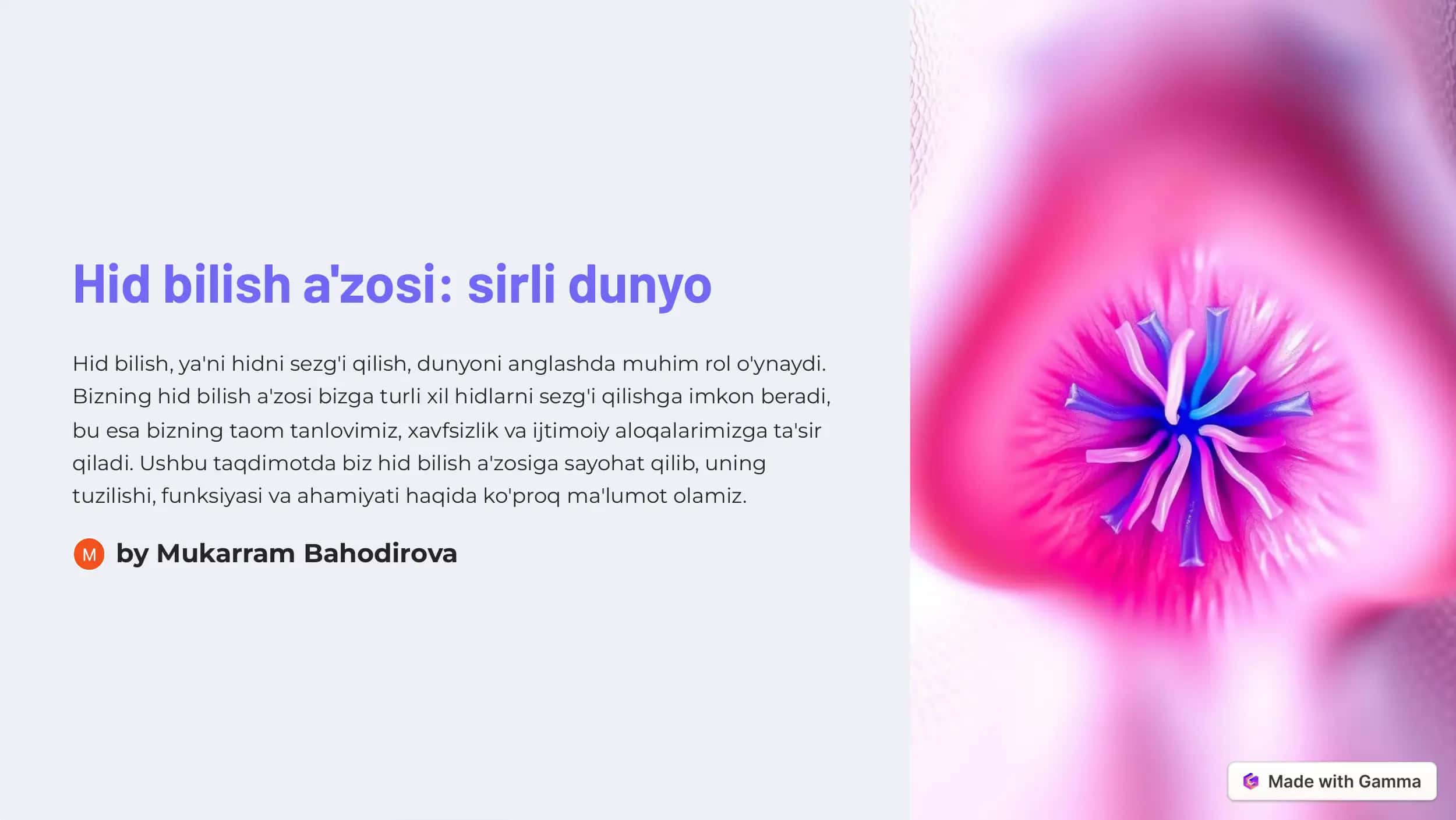Hid bilish a'zosi: sirli dunyo