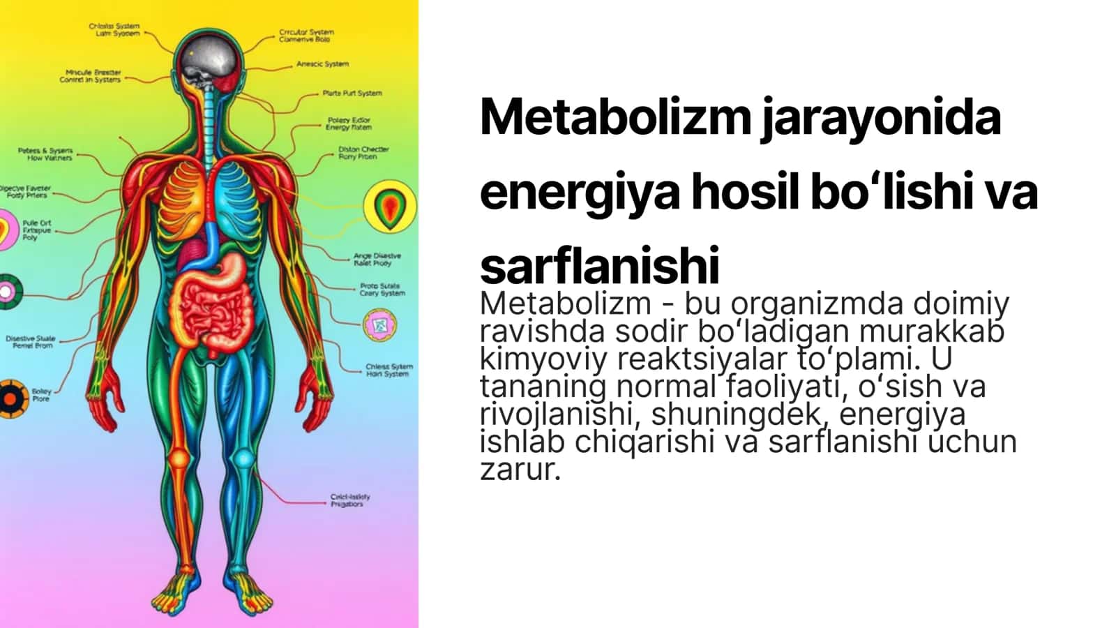 Metabolizm jarayonida energiya hosil bo'lishi va sarflanishi